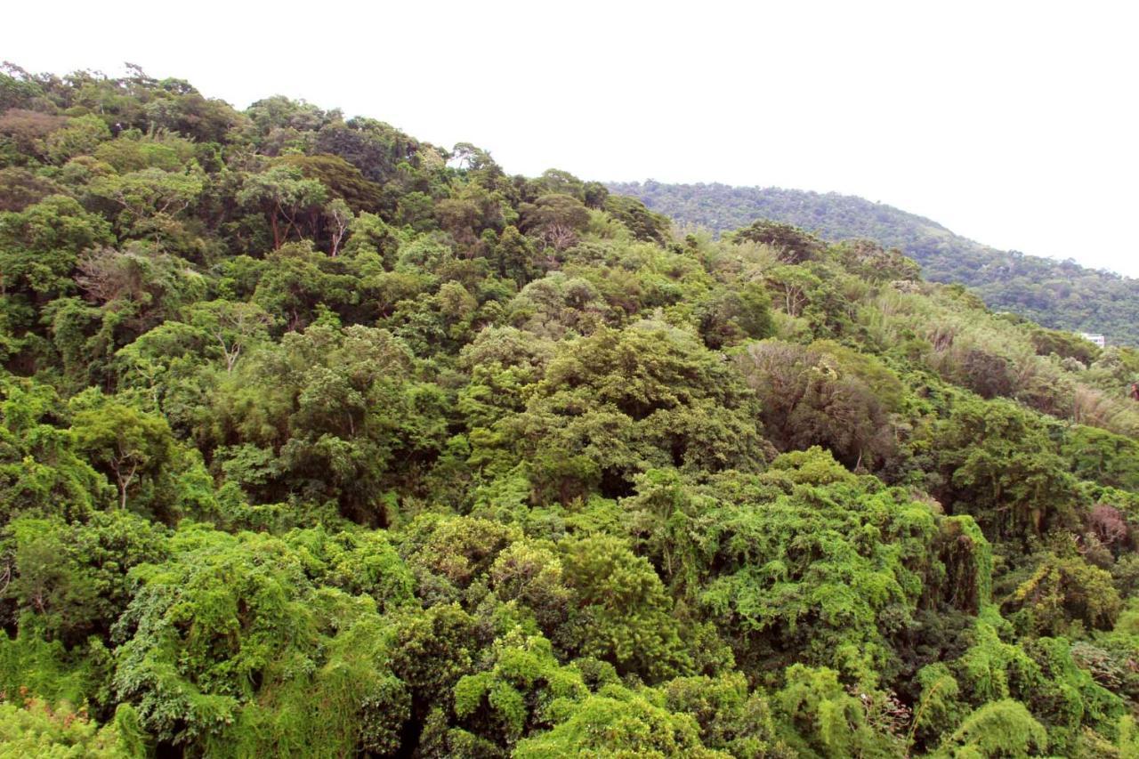 Estudio Laranjeiras Rio de Janeiro Luaran gambar